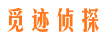 丰满侦探公司